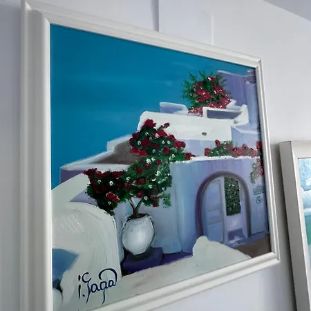 Coral -mamaia Nord